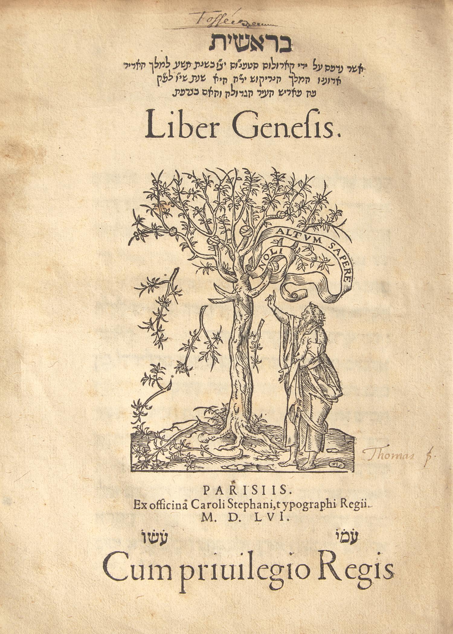 [Judaica] Liber Genesis (Hebrew title translated: Quinque libri legis Genesis, Exodus, Leviticus, Numeri, Deuteronomium )