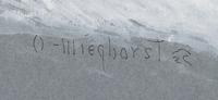 Snow Storm