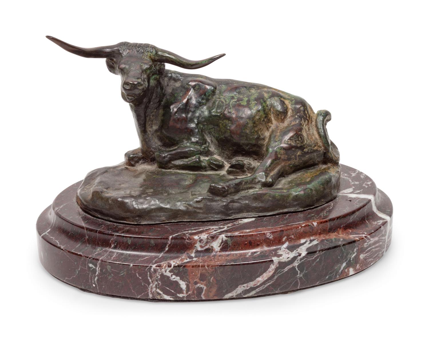 Steer