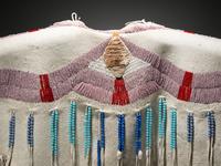 Plateau Beaded Hide Dress Yoke