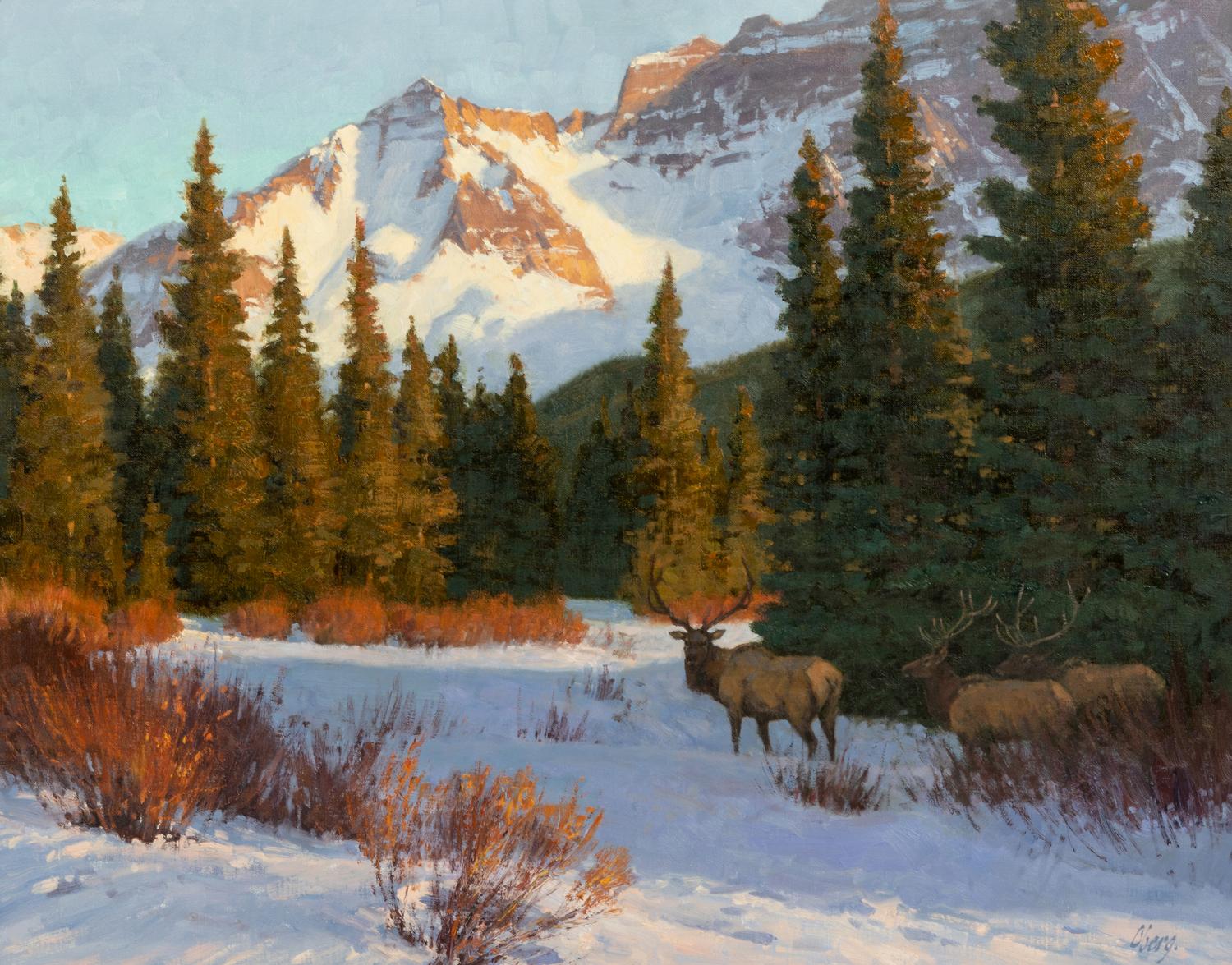 High Country Light , 1999