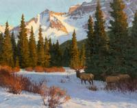 High Country Light , 1999