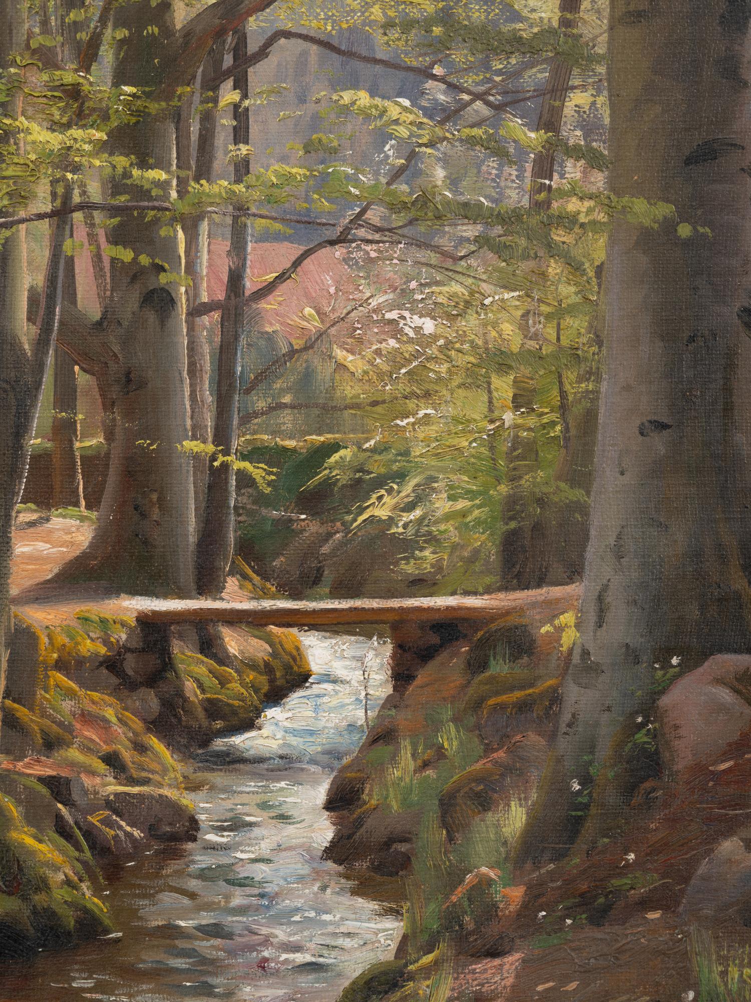 River in Forest Landscape