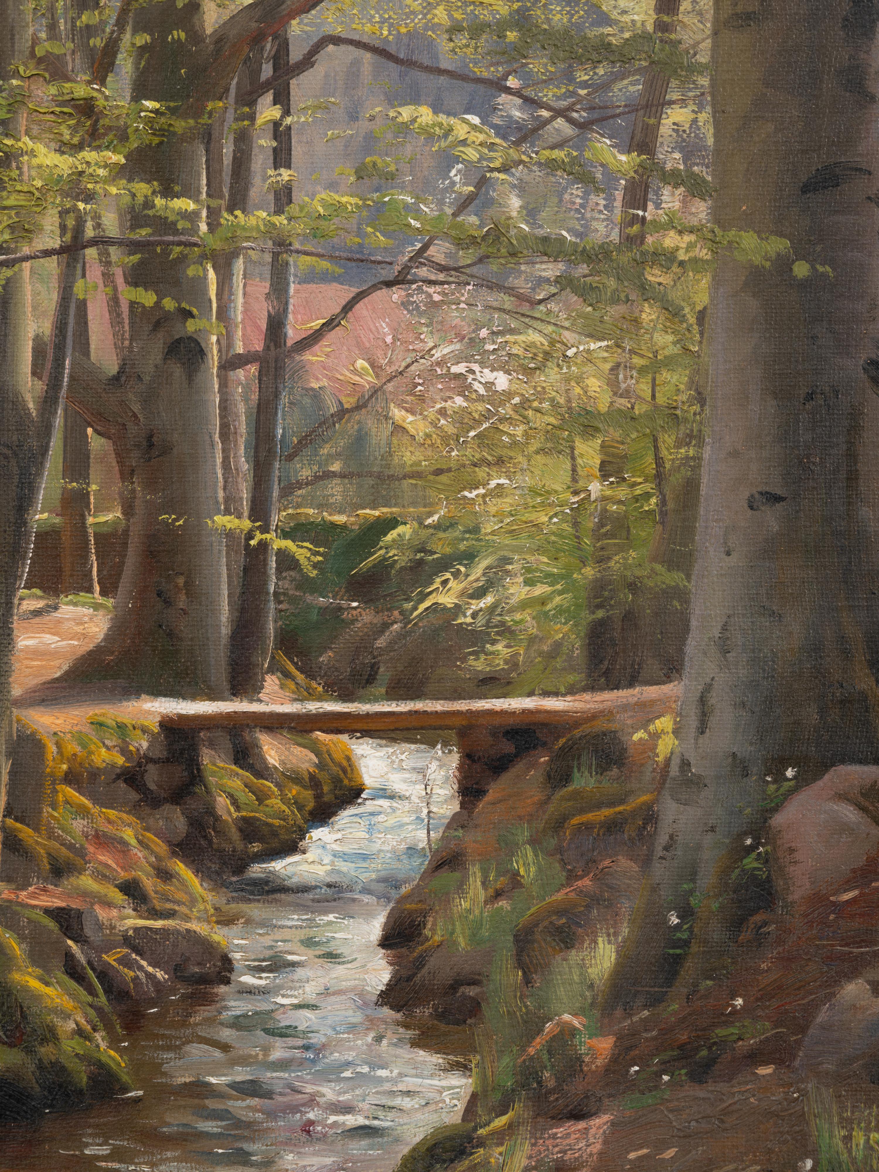 River in Forest Landscape