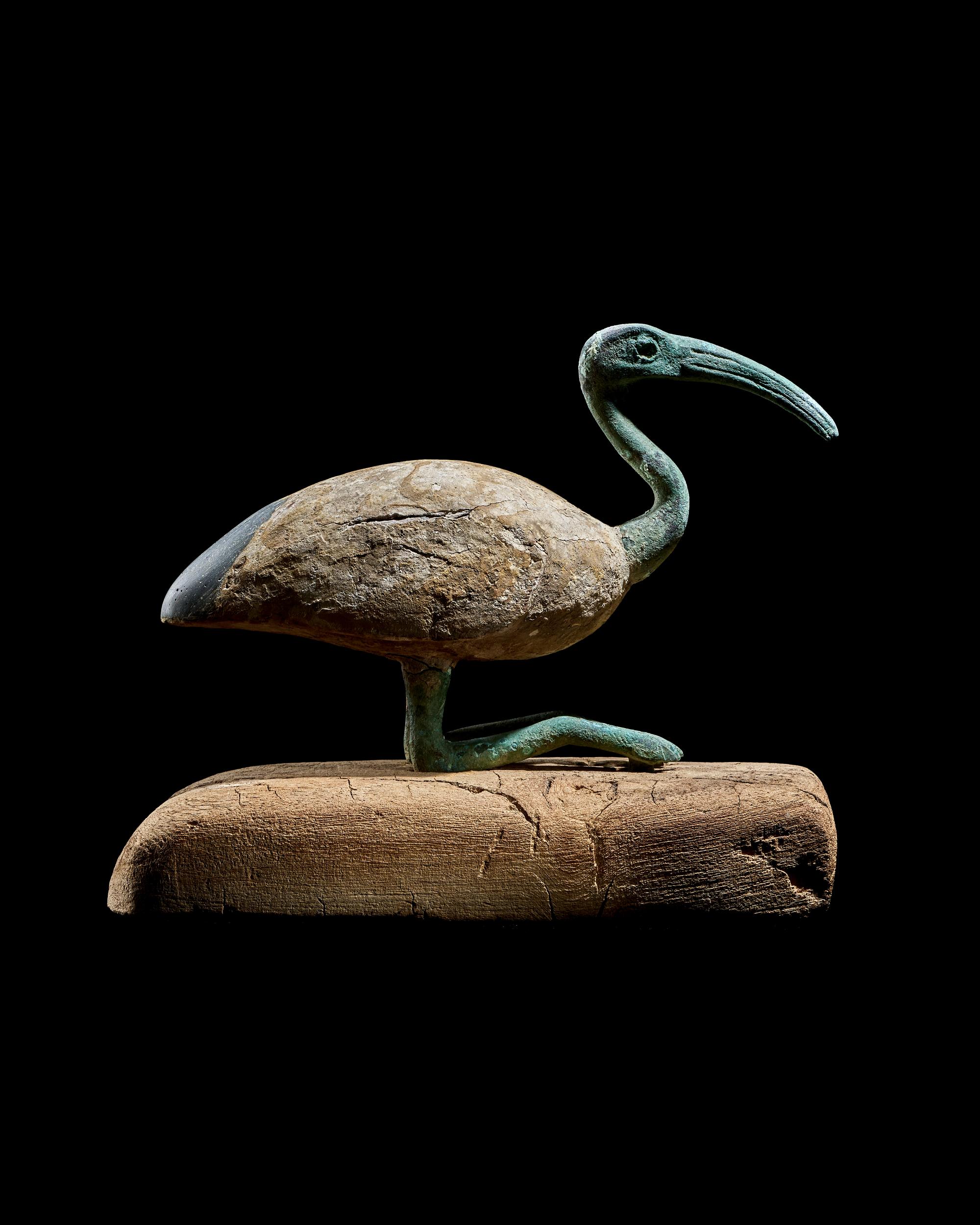 An Egyptian Wood and Bronze Ibis