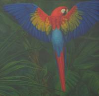 Scarlett Macaw with Plants, 1997