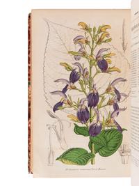 LEMAIRE, Charles (1800-1871). Le Jardin Fleuriste, journal général des progrès et des intérèts horticoles et botaniques . Ghent: F. & E. Gyselinck, 1851-1854.