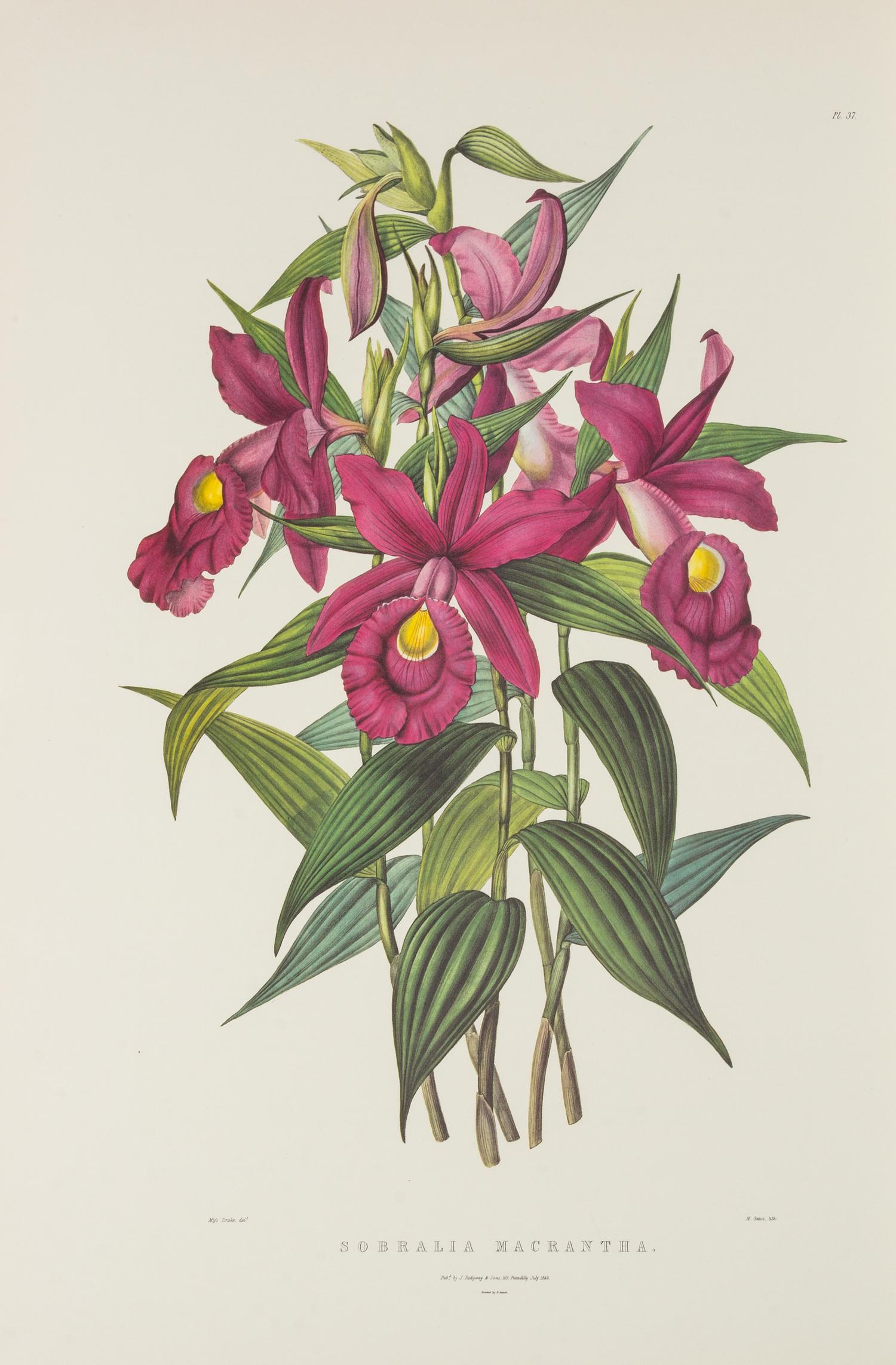 BATEMAN, James (1811-1897)