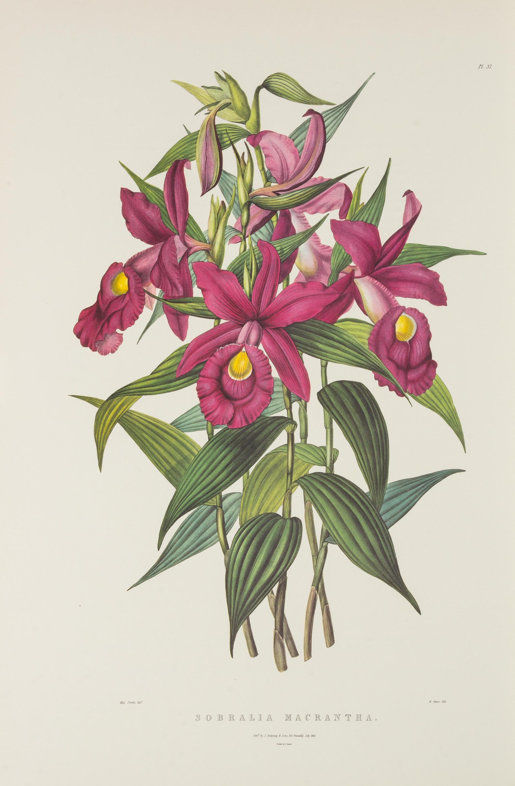 BATEMAN, James (1811-1897)