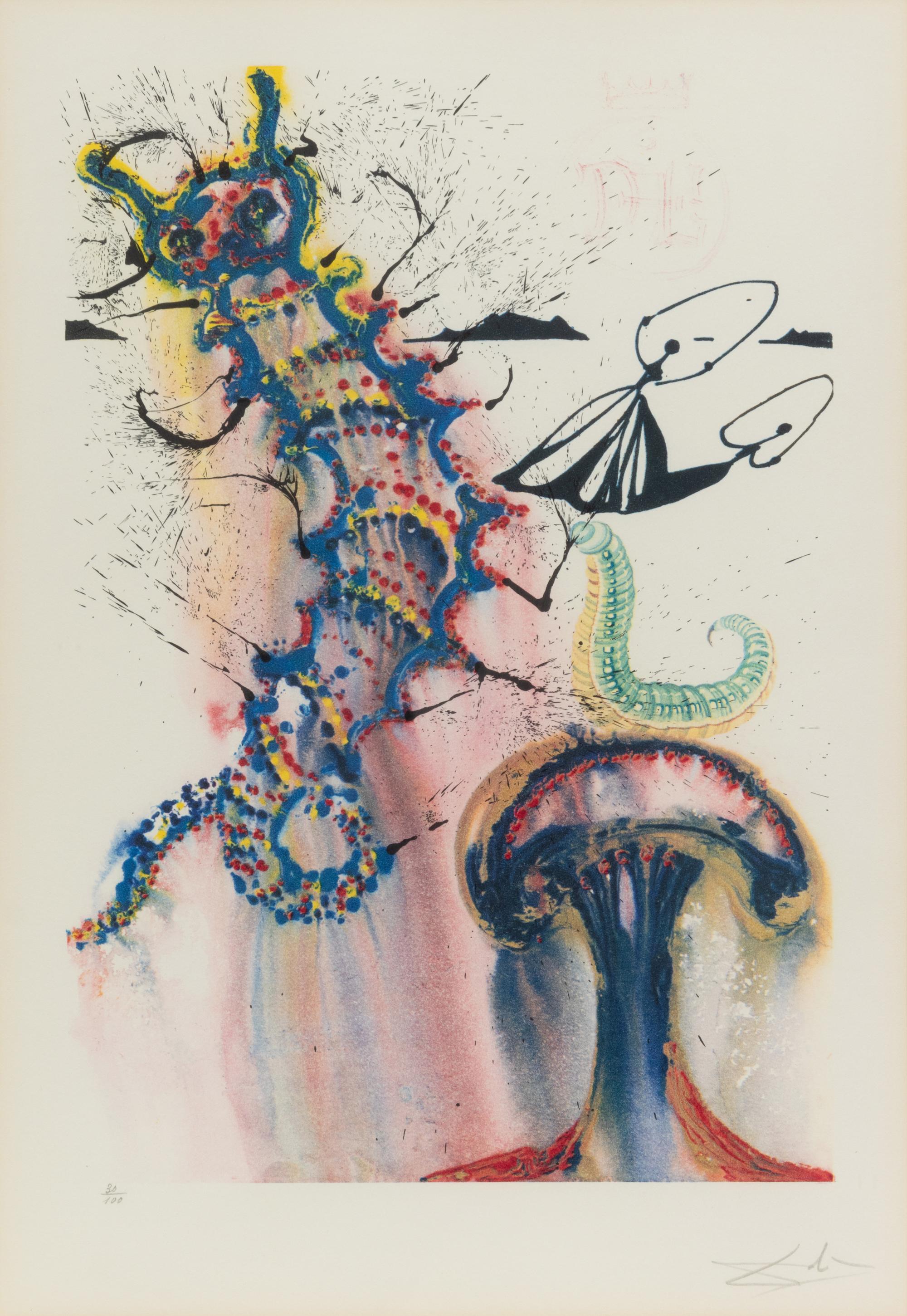 Alice's Adventures in Wonderland (complete portfolio of 13)