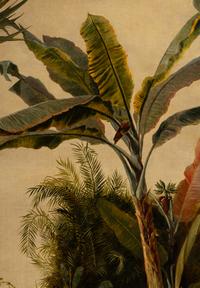 Wild Palm and Cacti