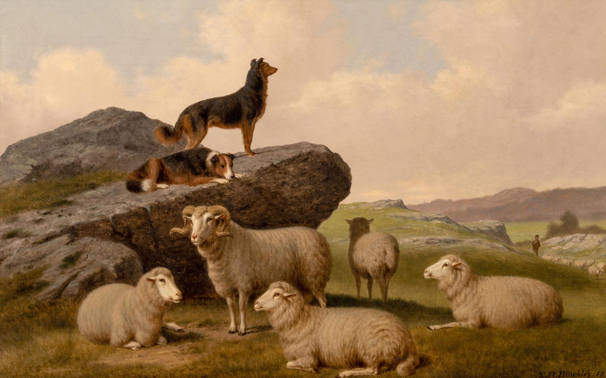 Watching the Flock