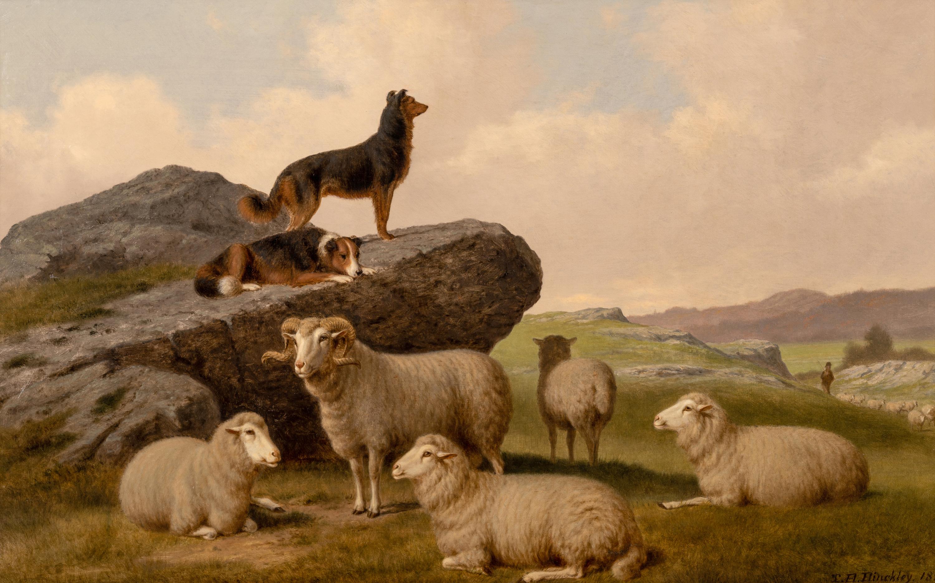 Watching the Flock