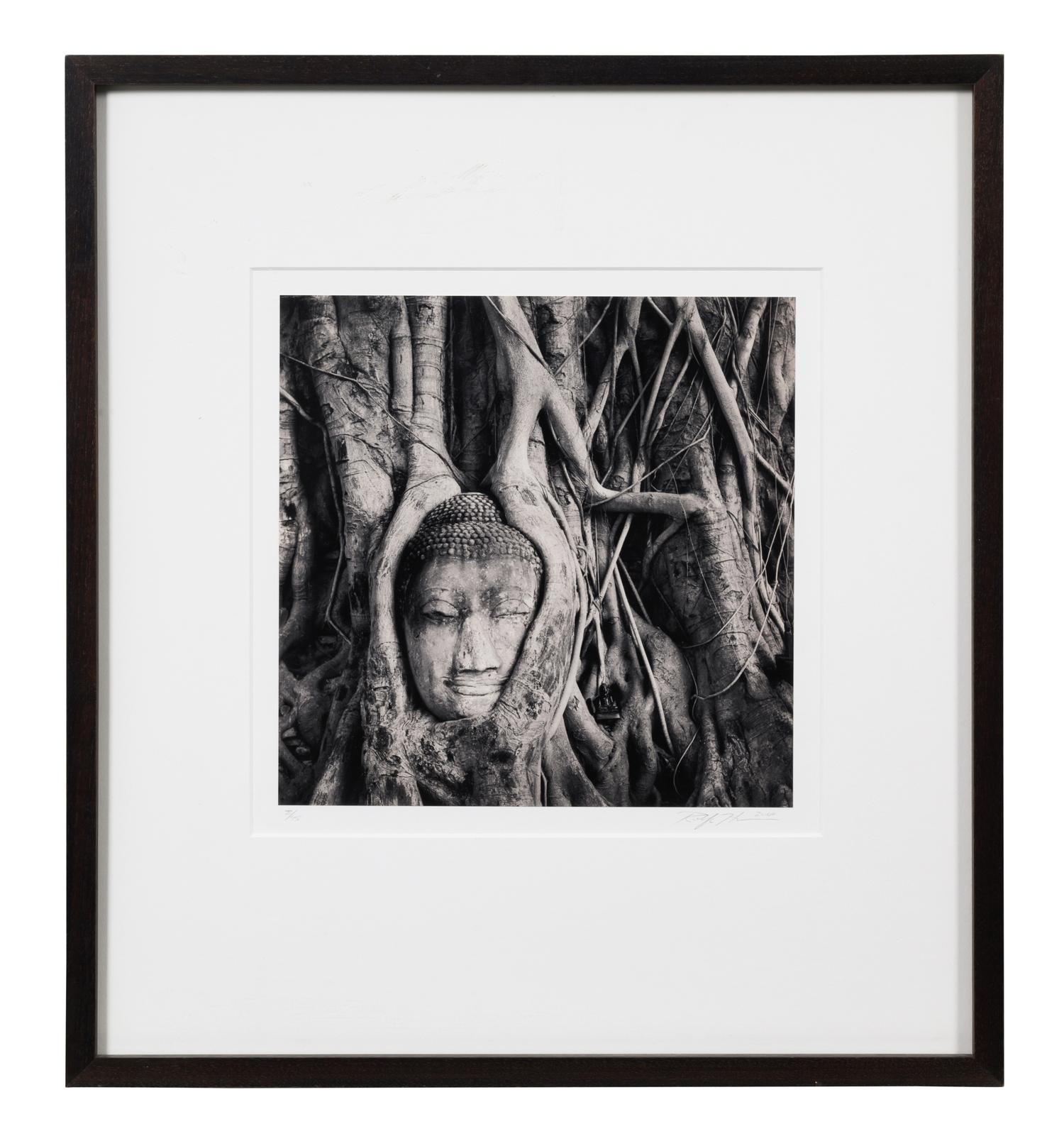 Buddha in Trees