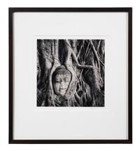 Buddha in Trees