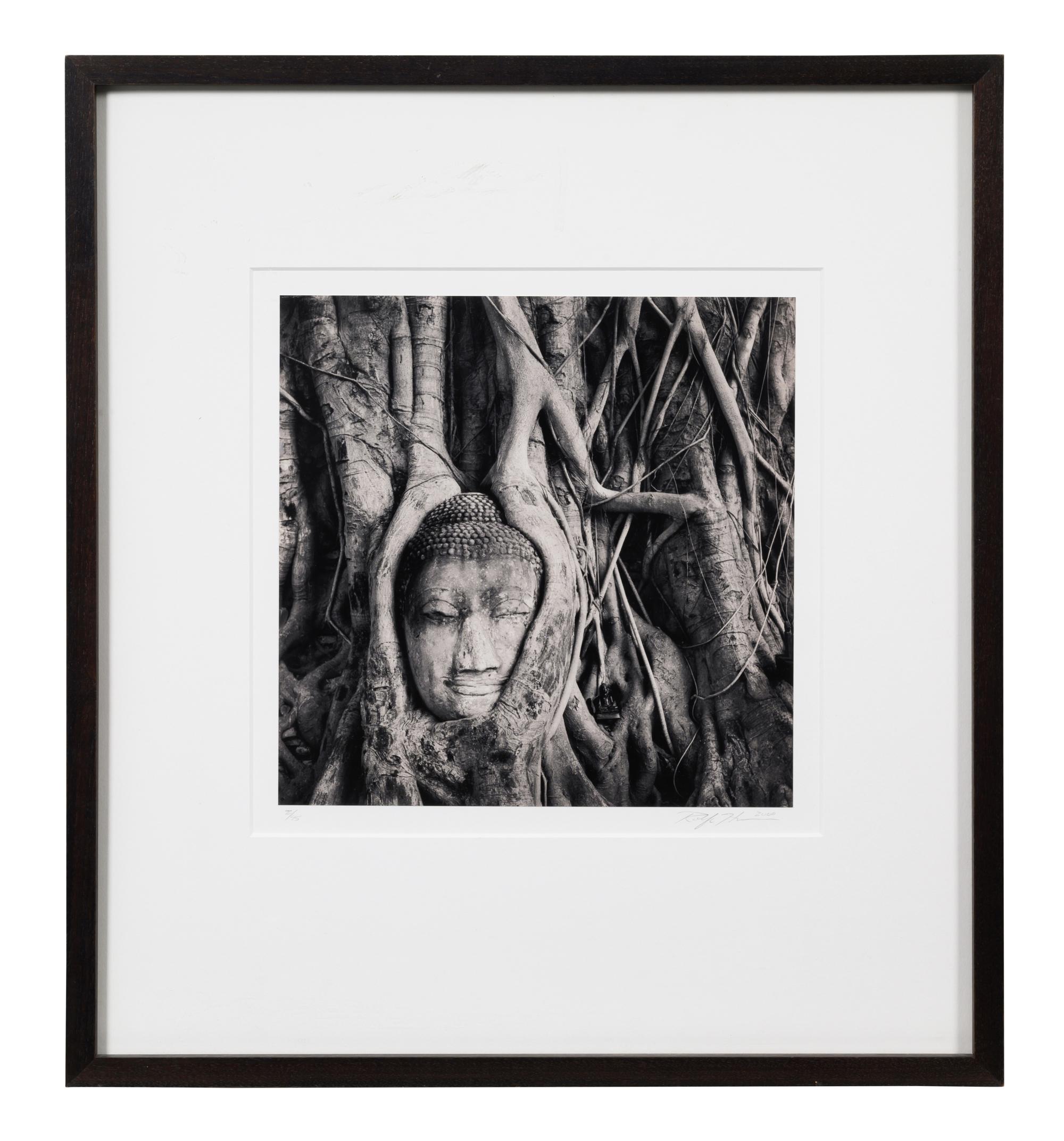 Buddha in Trees