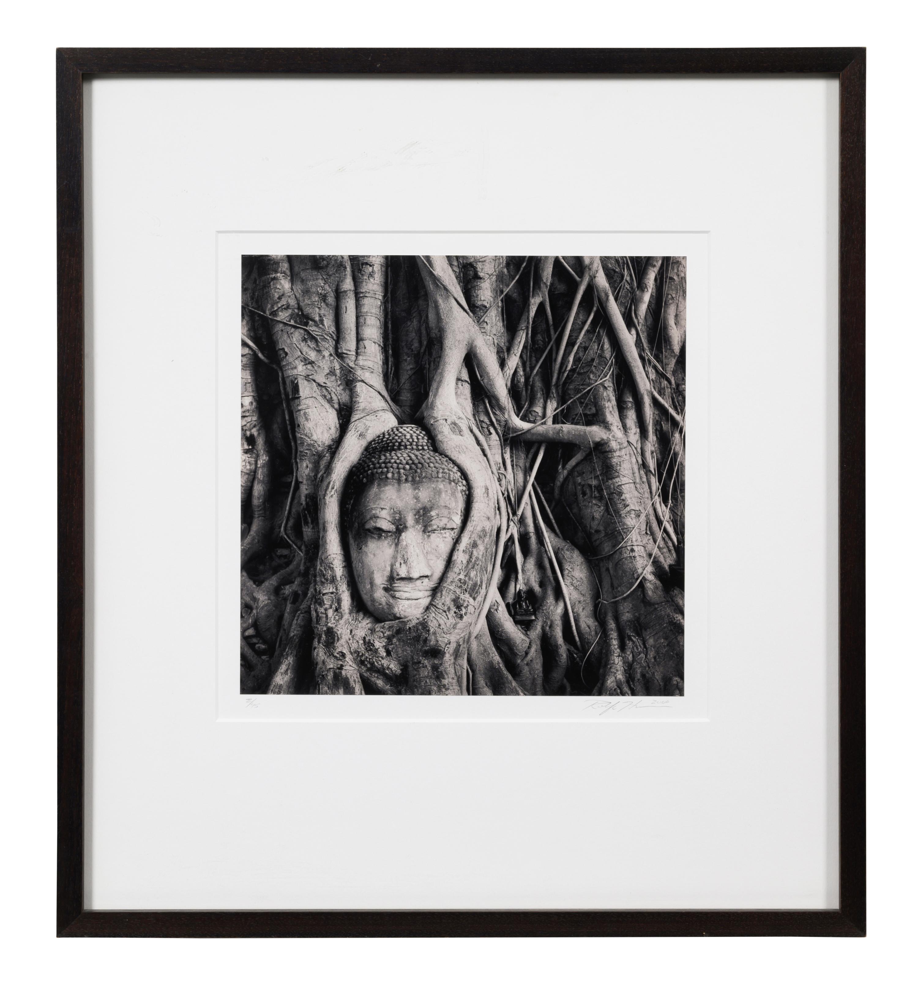 Buddha in Trees