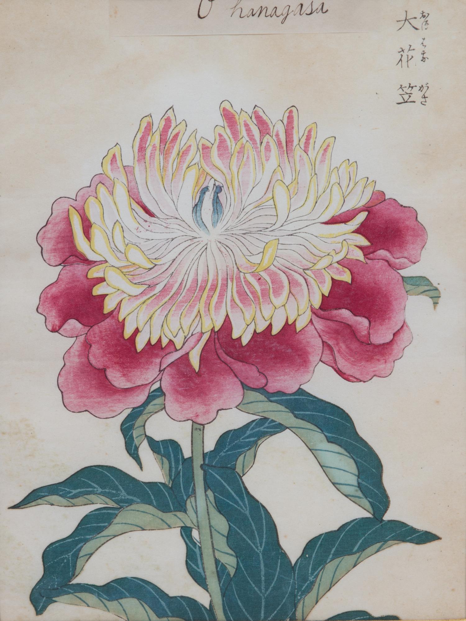 Three Japanese Botanical Watercolors Sight: 9 x 6 3/4 inches.