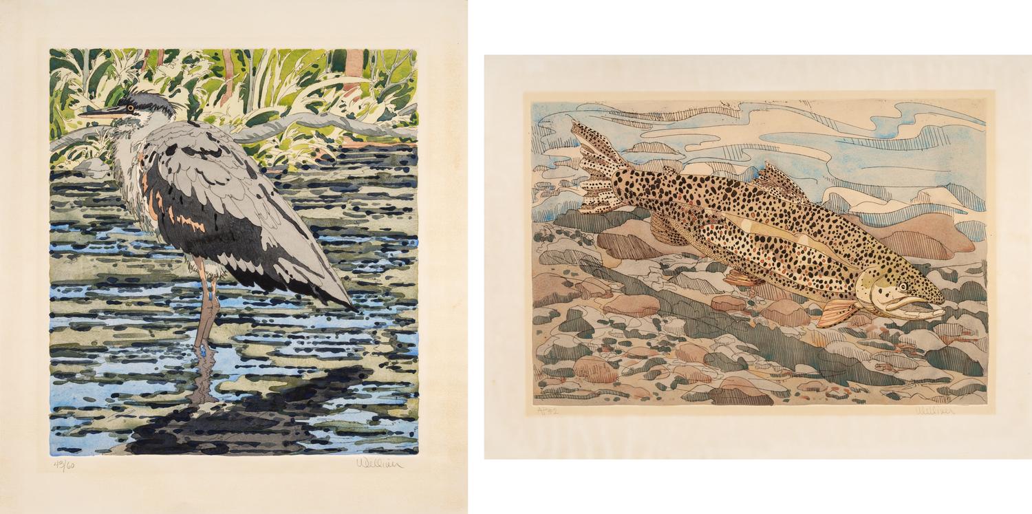 A Pair of Prints (Immature Great Blue Heron , 1978; Brown Trout, 1975)