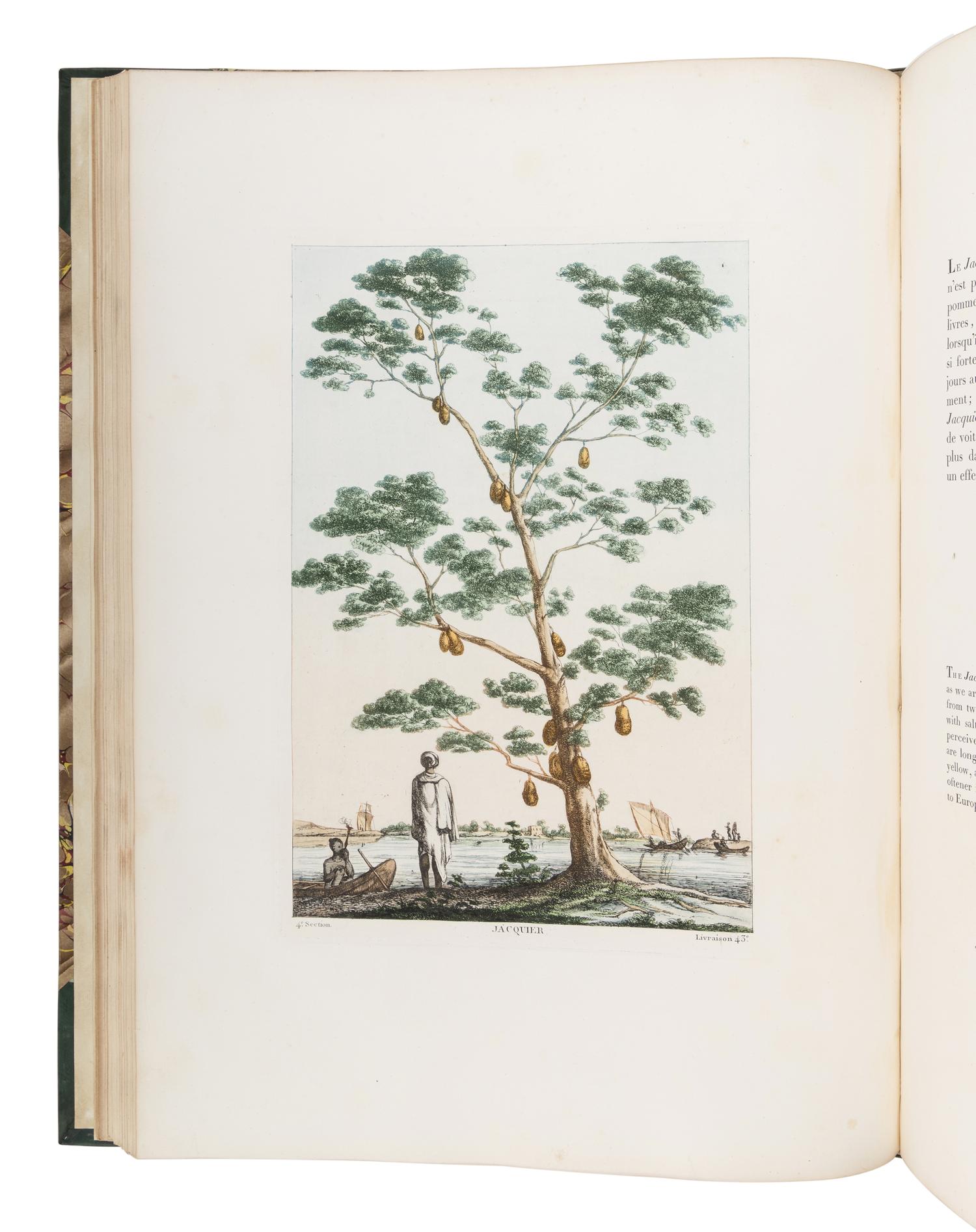 SOLVYNS, Frans Balthazar (1760-1824). Les Hindous ou Description de Leurs Moeurs, Coutumes et Ceremonies . Paris: Chez l'Auteur & H. Nicolle, 1808-1812.