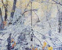 Santa Fe Aspens