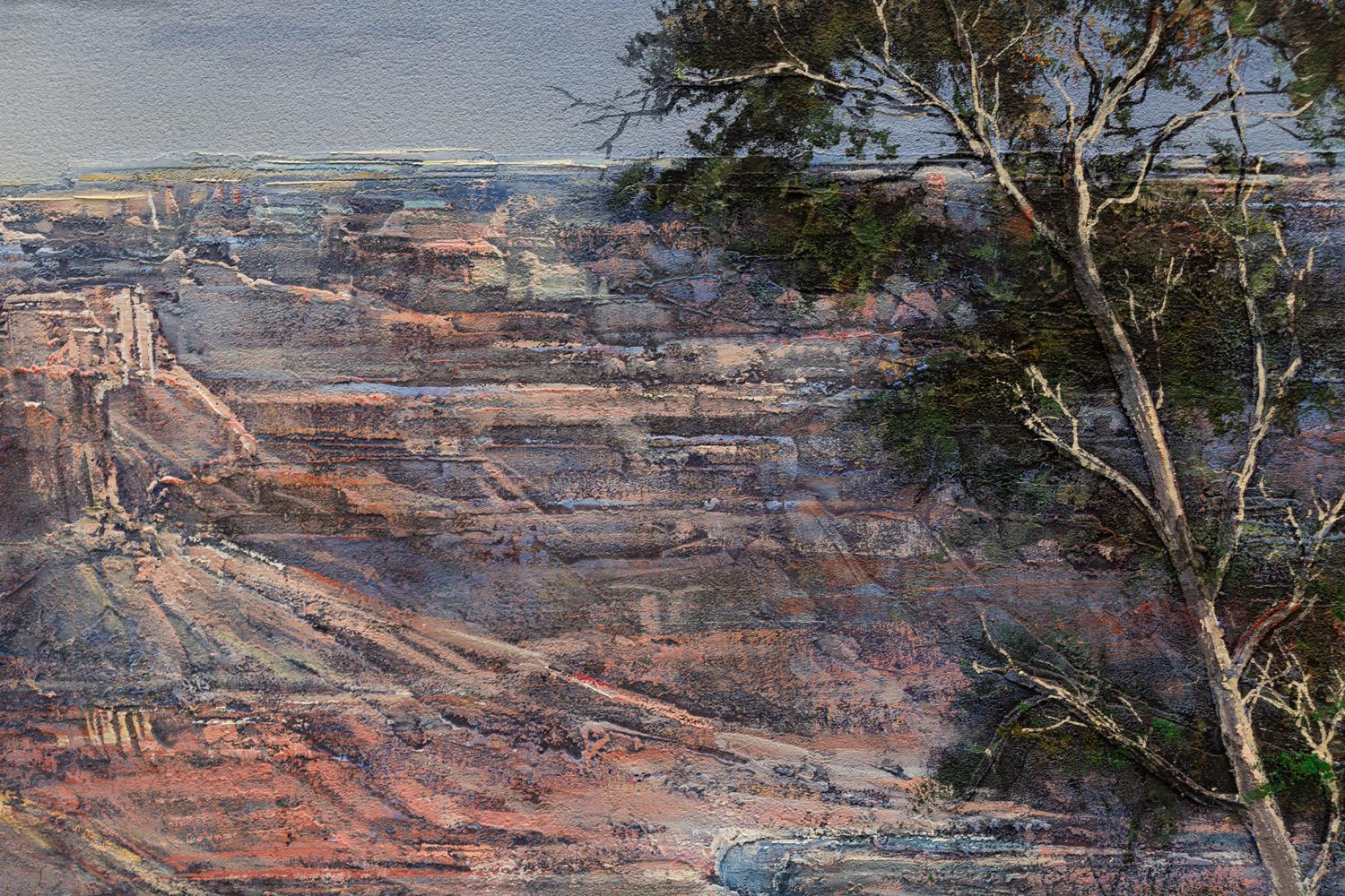 Grand Canyon View