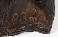 Pair, American Bison , edition 1/9