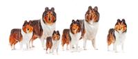 A Group of Six Royal Doulton Porcelain Collies Width of widest 10 inches.