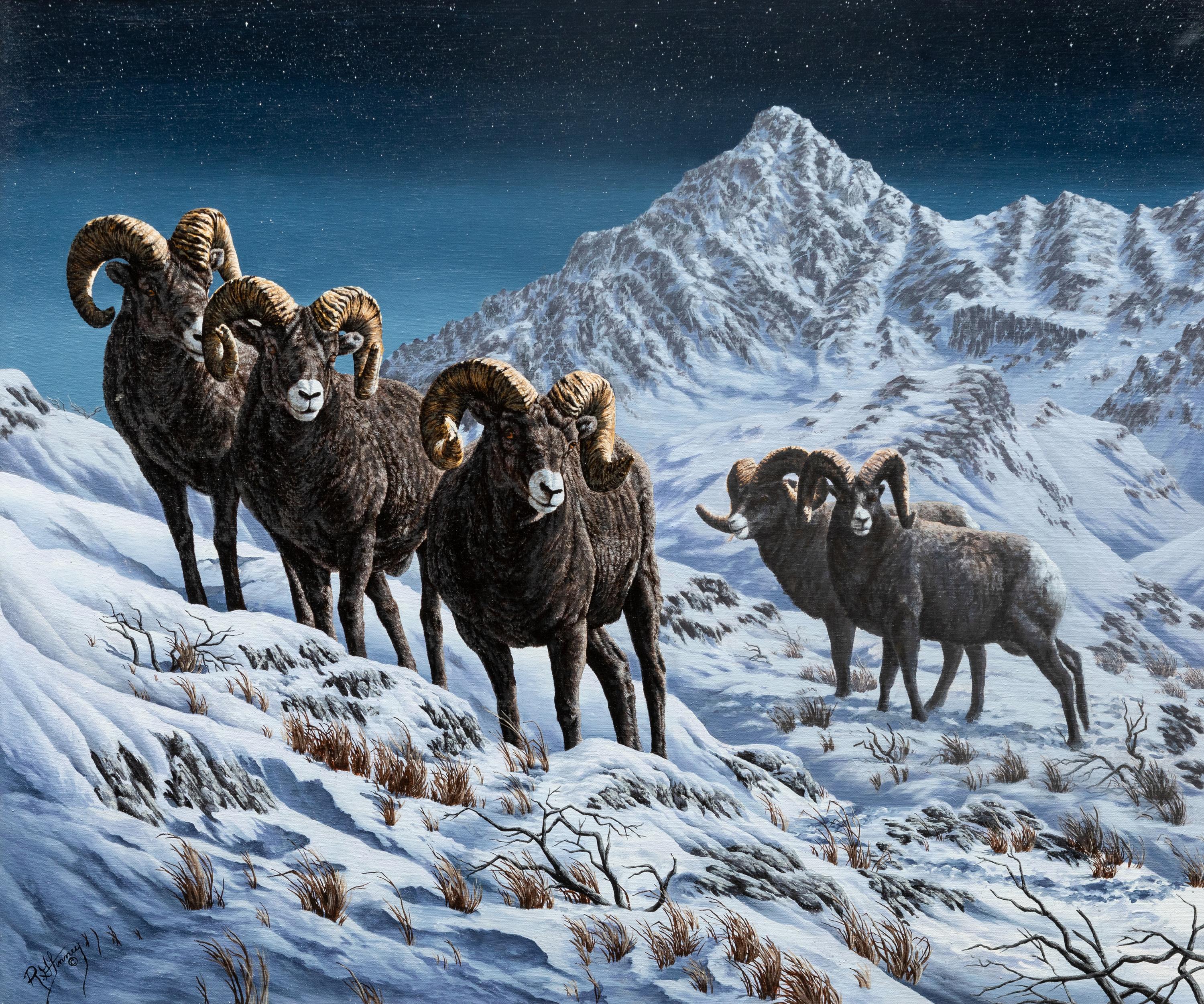 Moonlight Gathering