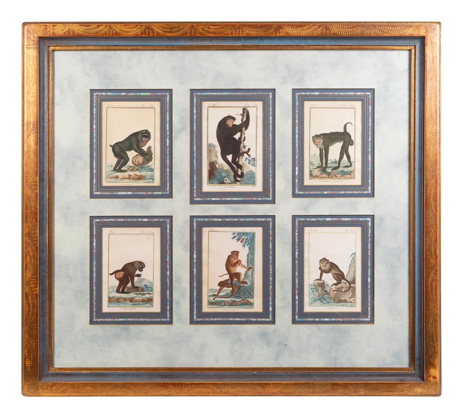 A Set of Twelve Hand-Colored Monkey Engravings — LATE 18TH/EARLY 19TH CENTURY