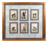 A Set of Twelve Hand-Colored Monkey Engravings — LATE 18TH/EARLY 19TH CENTURY