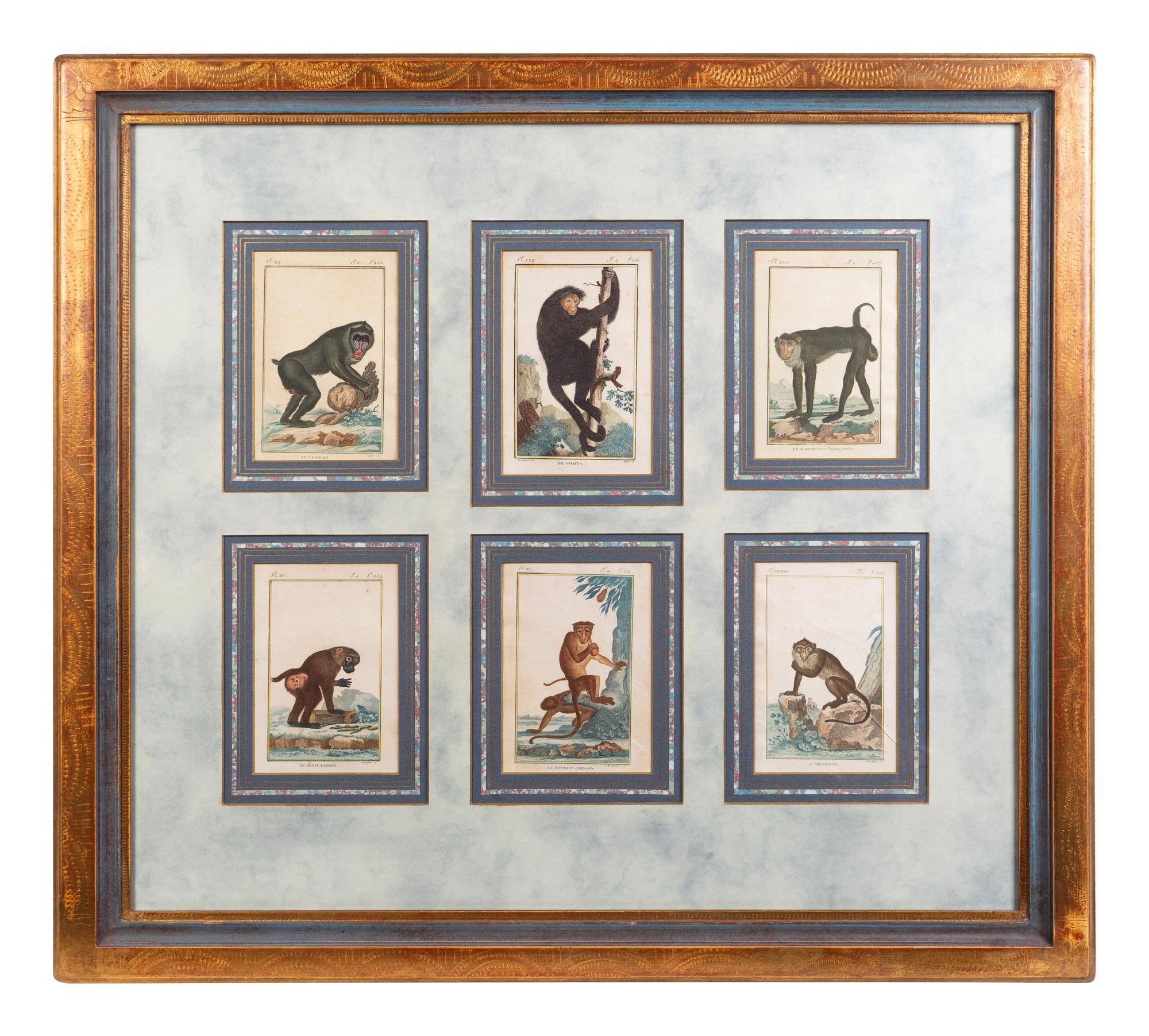 A Set of Twelve Hand-Colored Monkey Engravings — LATE 18TH/EARLY 19TH CENTURY