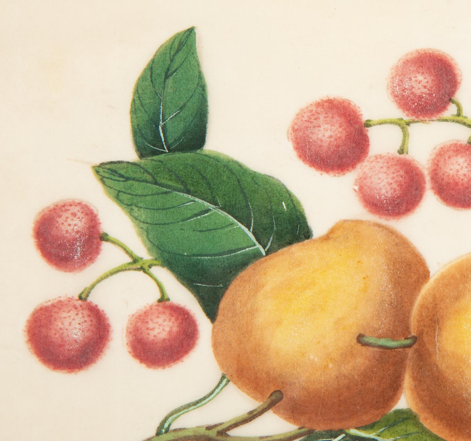 Four Chinese Watercolor and Gouache Pith Paintings of Exotic Fruit