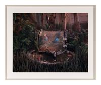 Untitled (from Natural Wonder Series) , 1992
