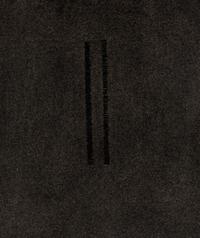 Two Columns of Incised Lines -1-