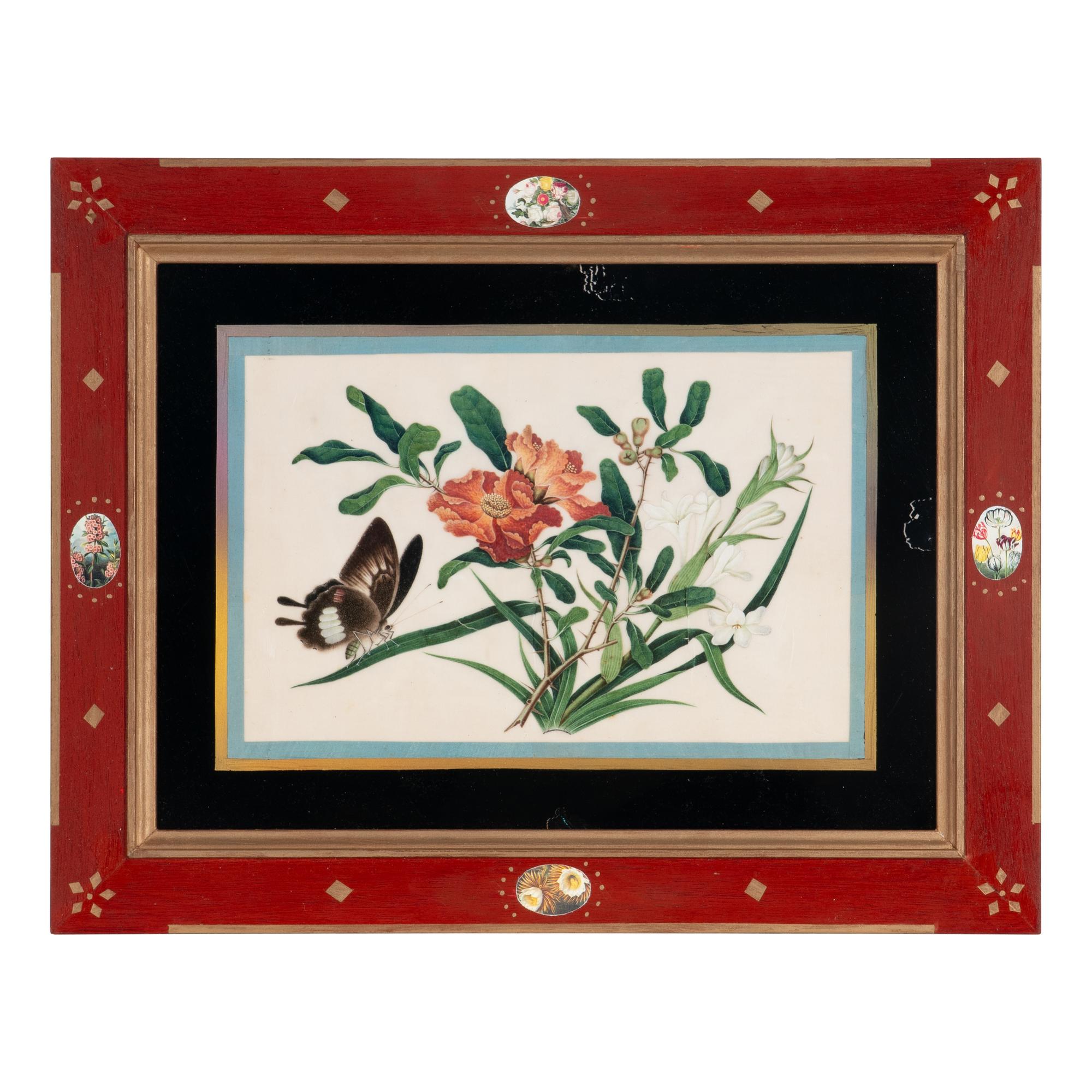 A Set of Twelve Chinese Export Watercolor and Pith Botanical Paintings