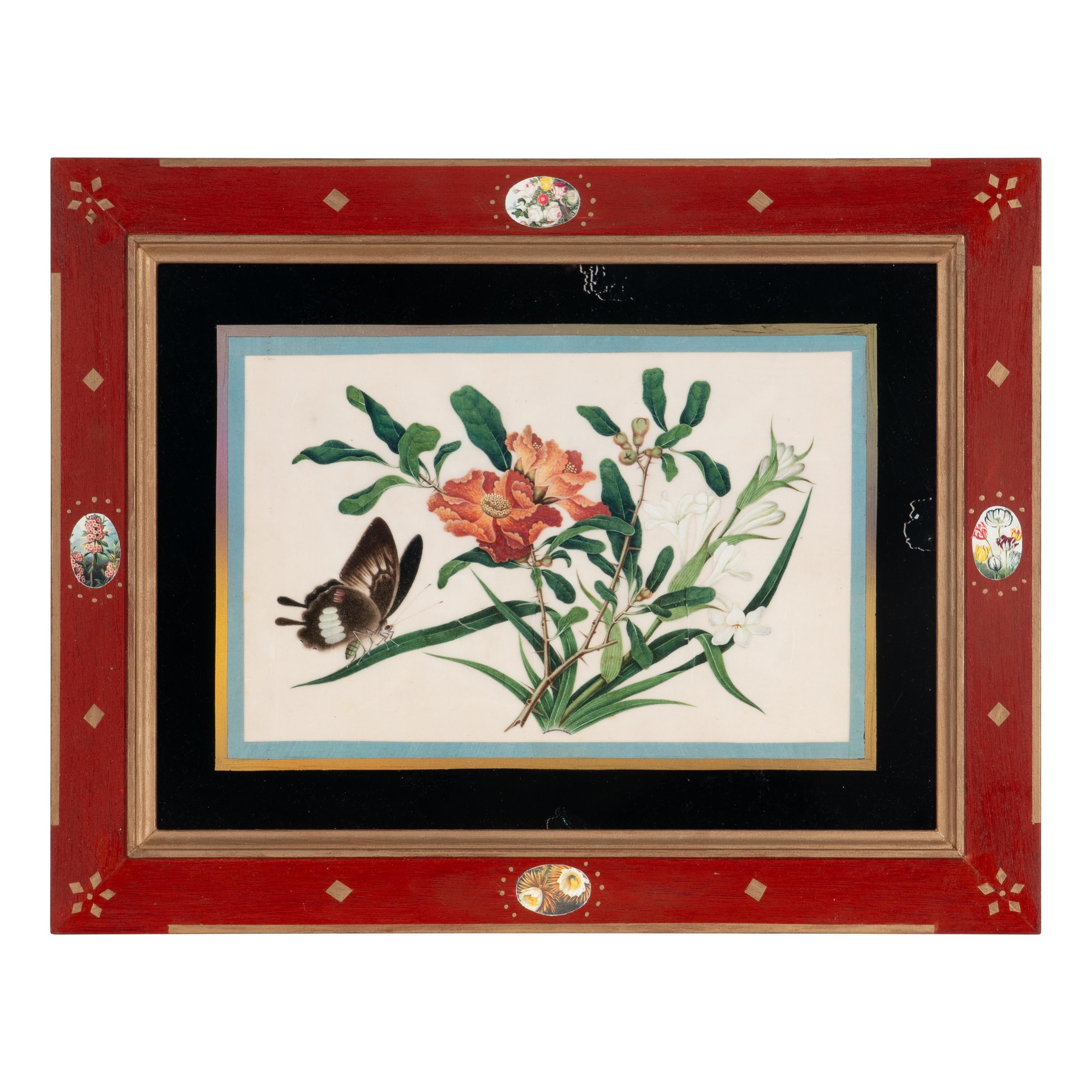 A Set of Twelve Chinese Export Watercolor and Pith Botanical Paintings