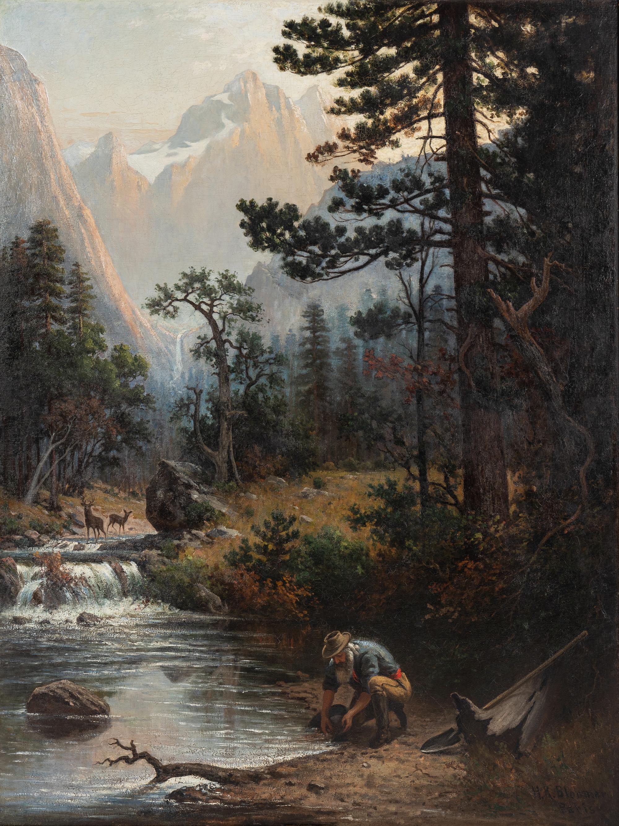 Panning the Yosemite