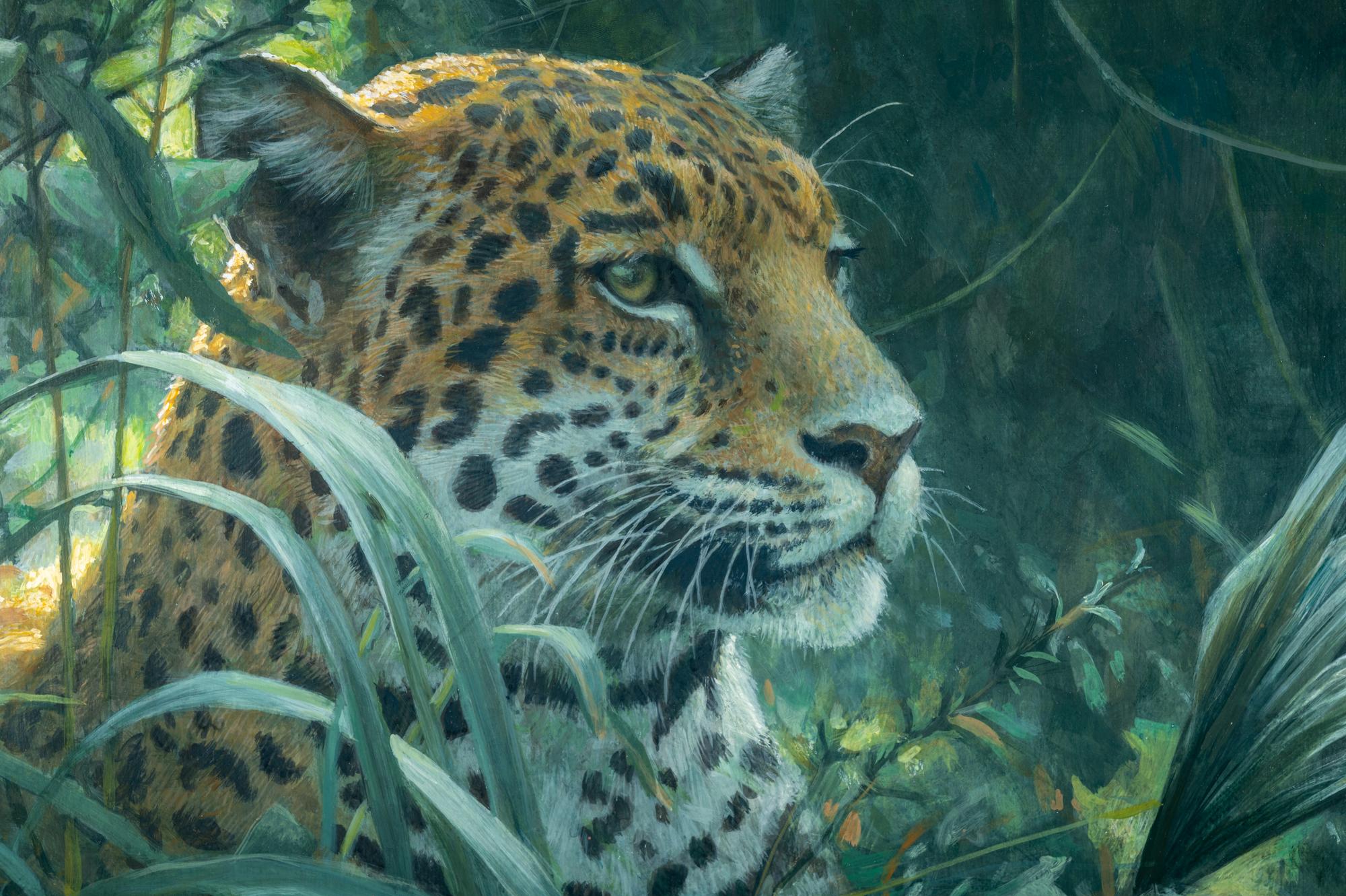 Symbol of the Rainforest- Spotted Jaguar