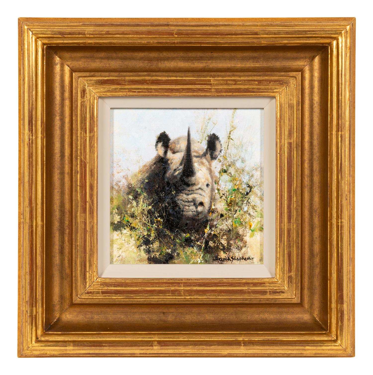 Rhino Study
