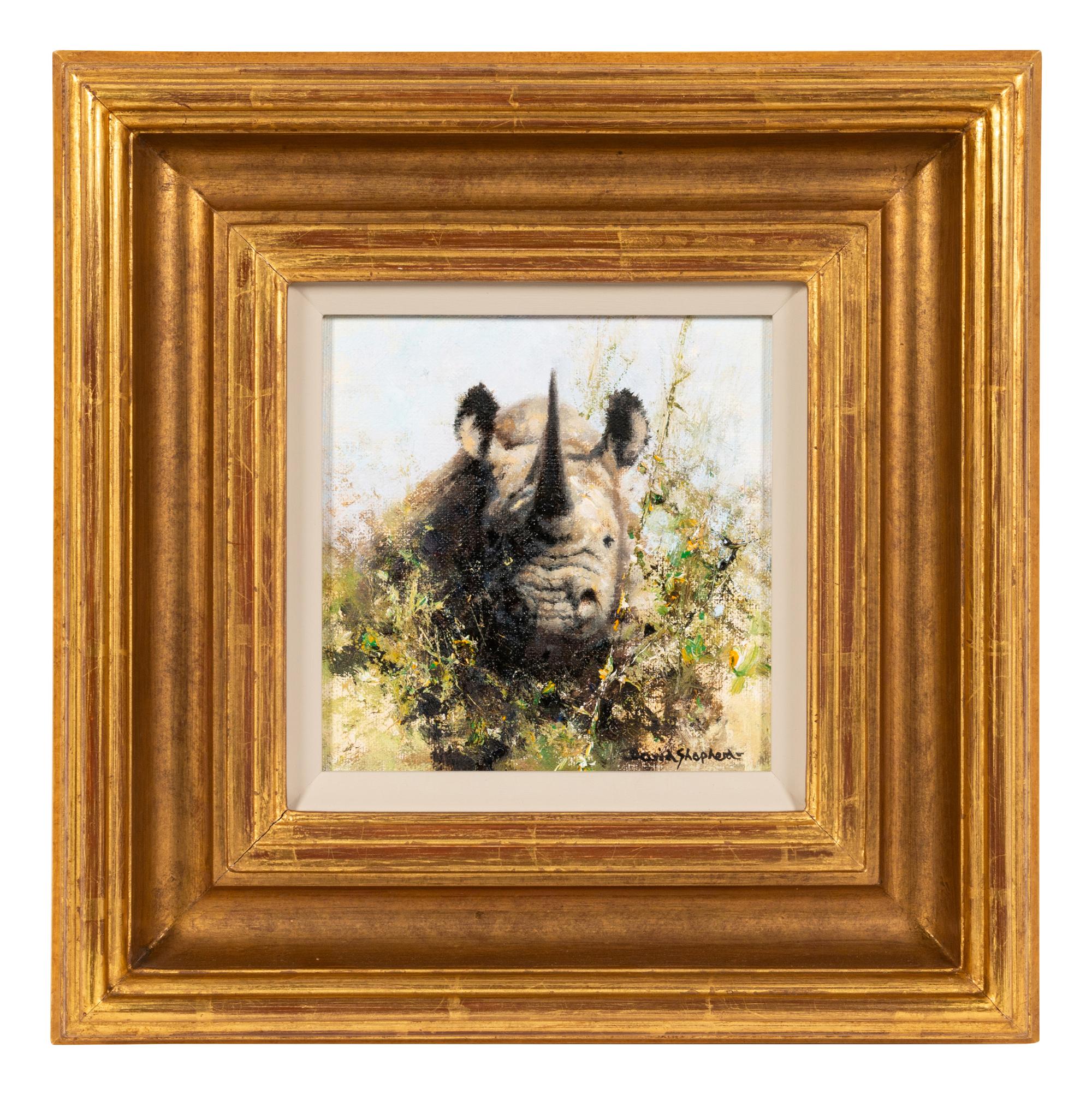 Rhino Study