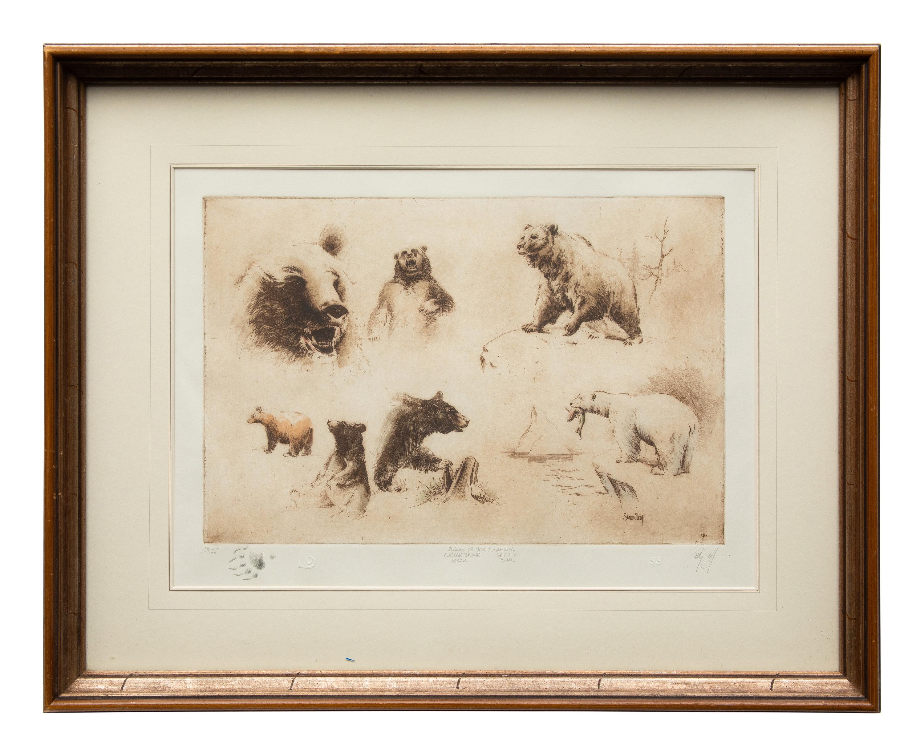 The Bears of North America , edition 26/100