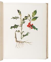 [BRITISH FLORA & FAUNA]. A group of 5 works, comprising: