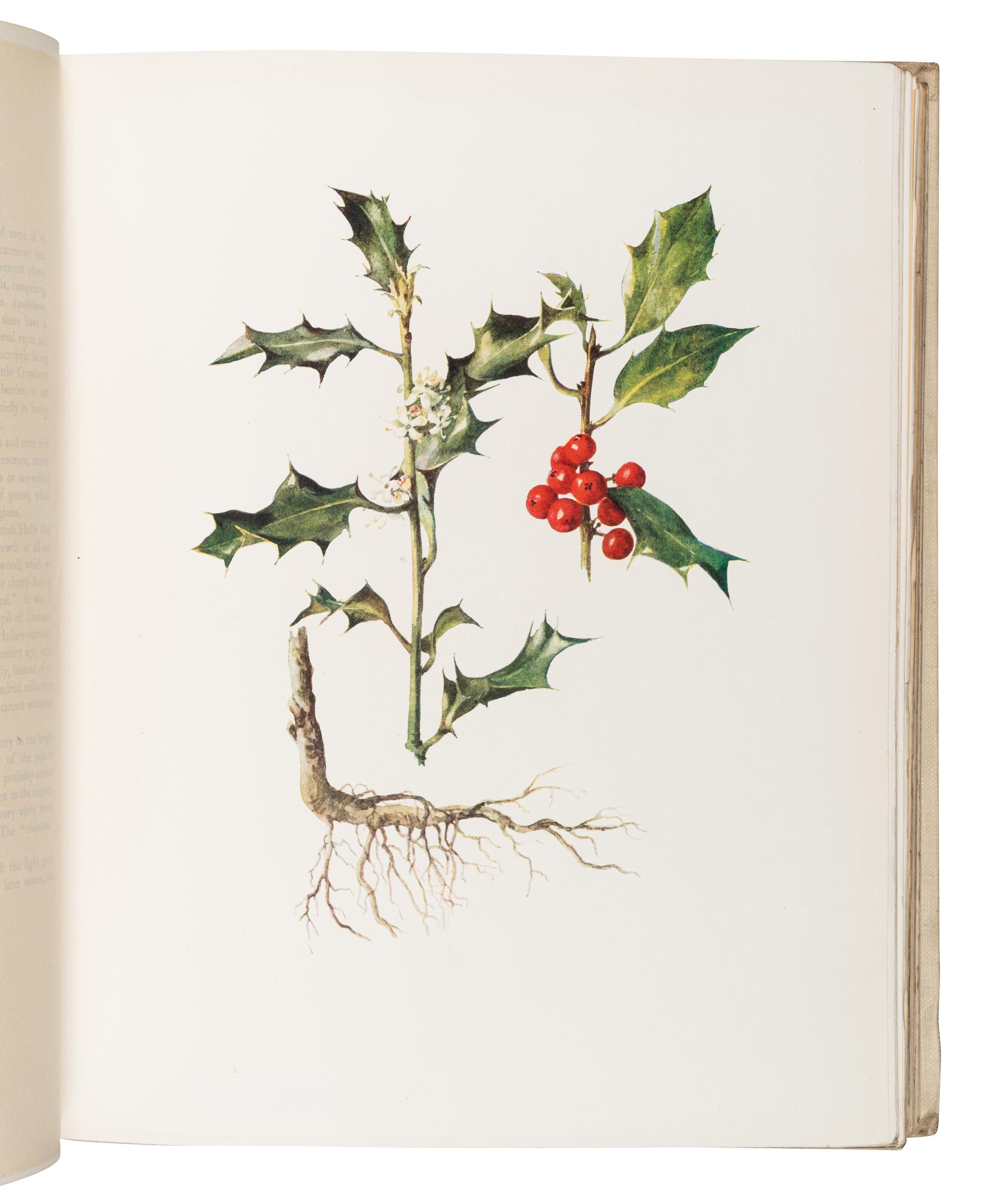 [BRITISH FLORA & FAUNA]. A group of 5 works, comprising: