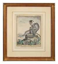 Four Framed Copper Plate Engravings from Le Comte de Buffon, Quadrupeds from Histoire Naturelle
