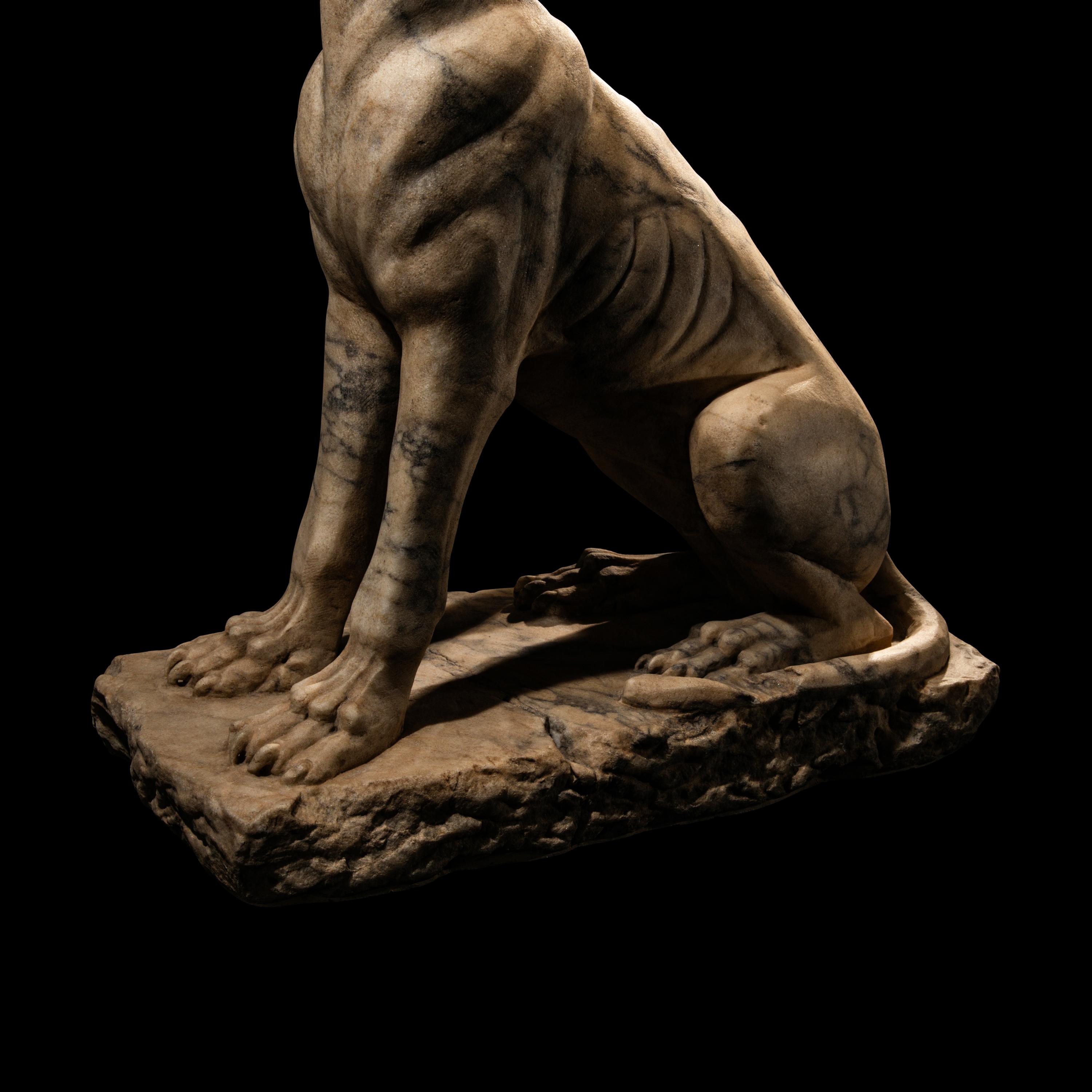 A Roman Pavonazzetto Marble Laconian Hound