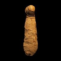 An Egyptian Mummified Jackal