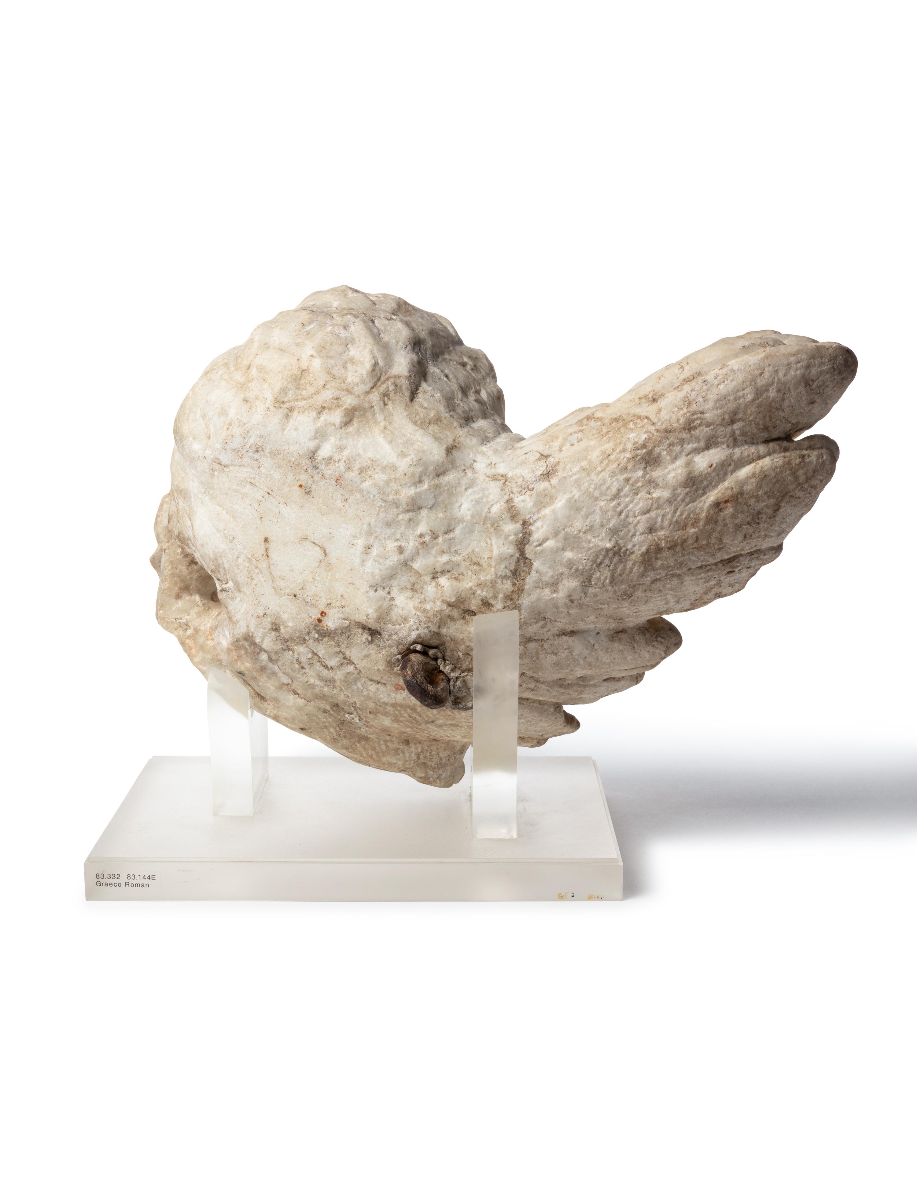 A Continental Marble Winged Cherub