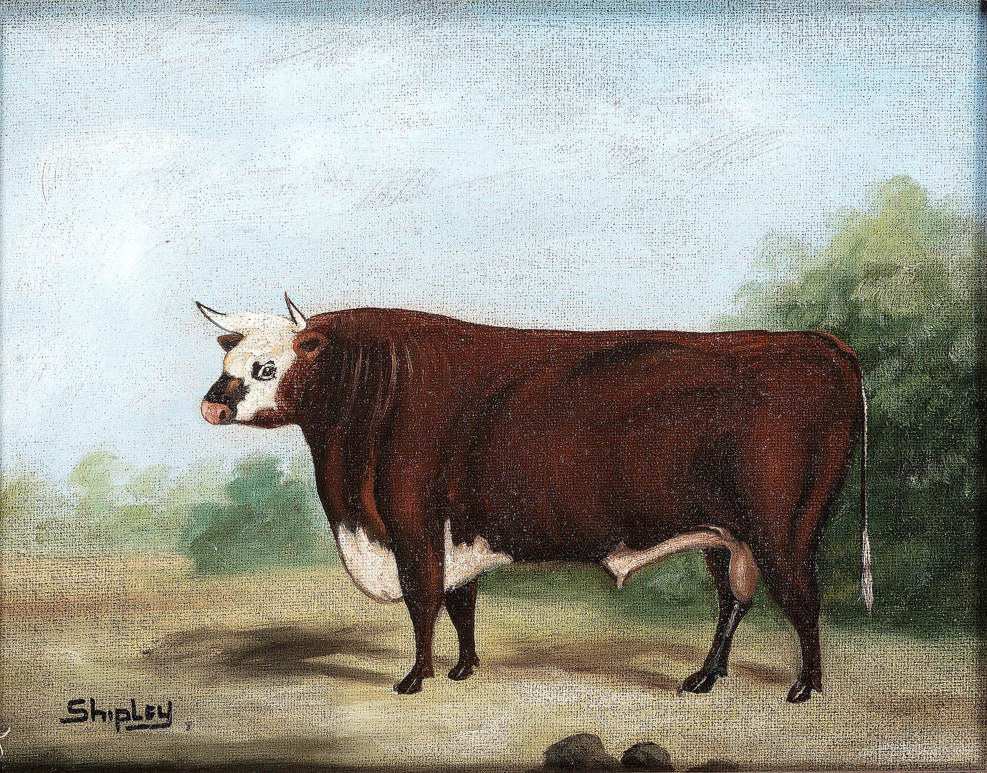 A Pair of Bovine Portraits