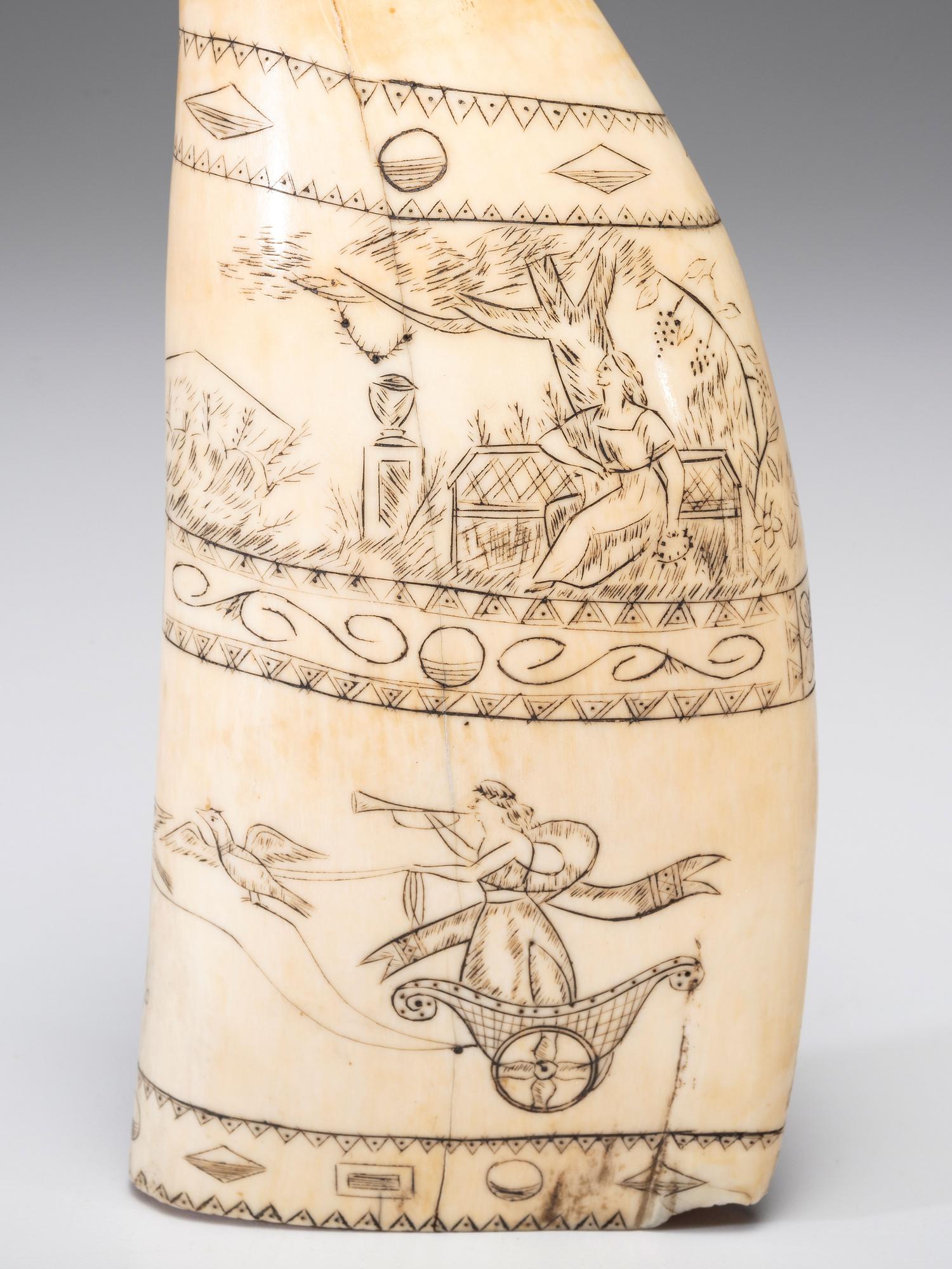 A Scrimshaw Sperm Whale's Tooth
